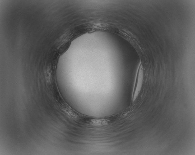 X0000060240520200511241337
