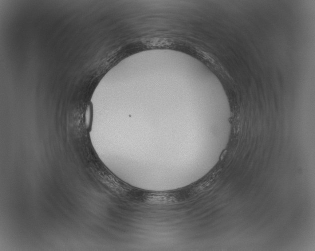 X0000060240521200511241337