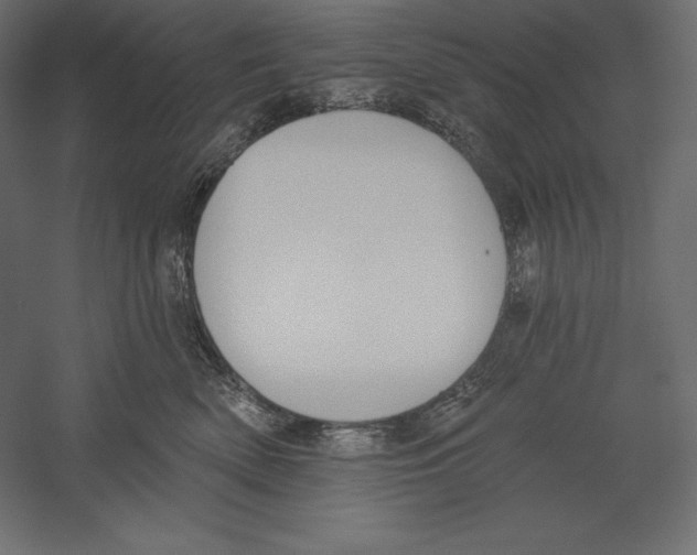 X0000060240522200511241337
