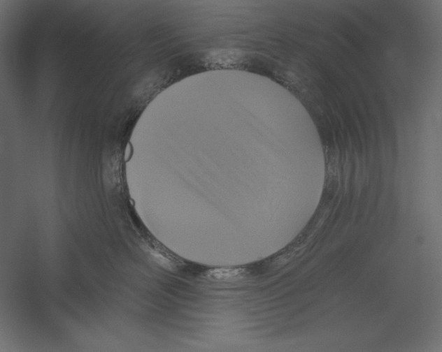 X0000060240526200511241337