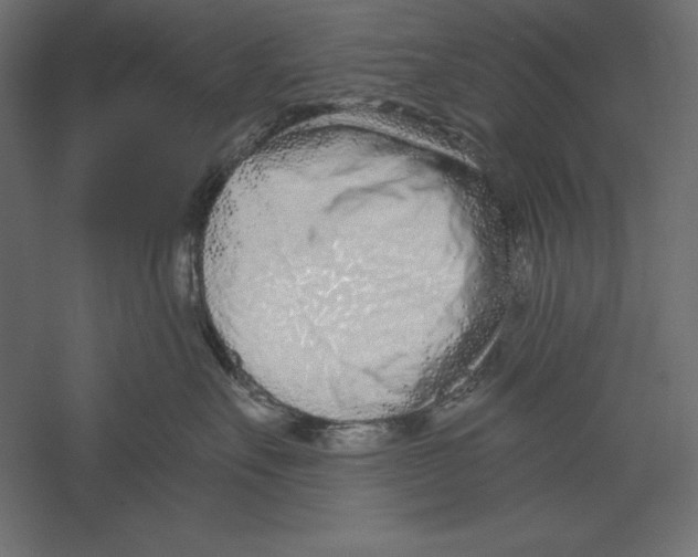 X0000060240527200511241337