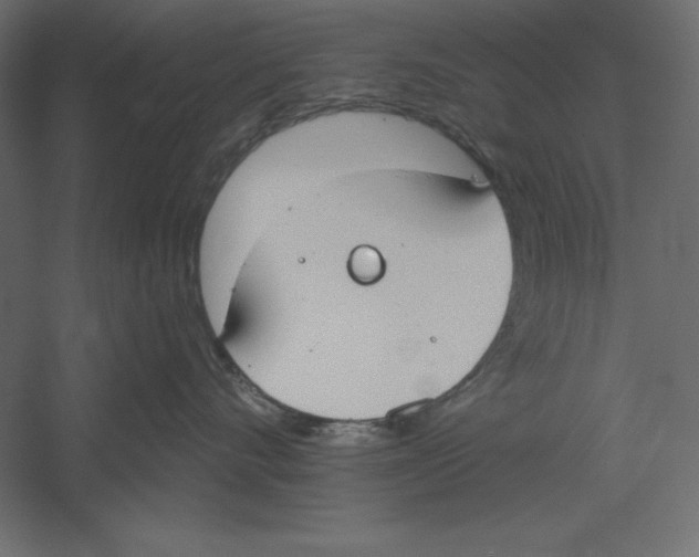 X0000060240528200511241337