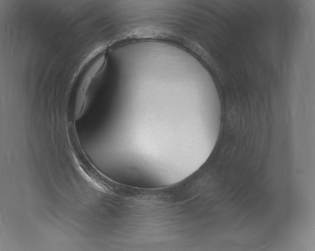 X0000060240530200511241336