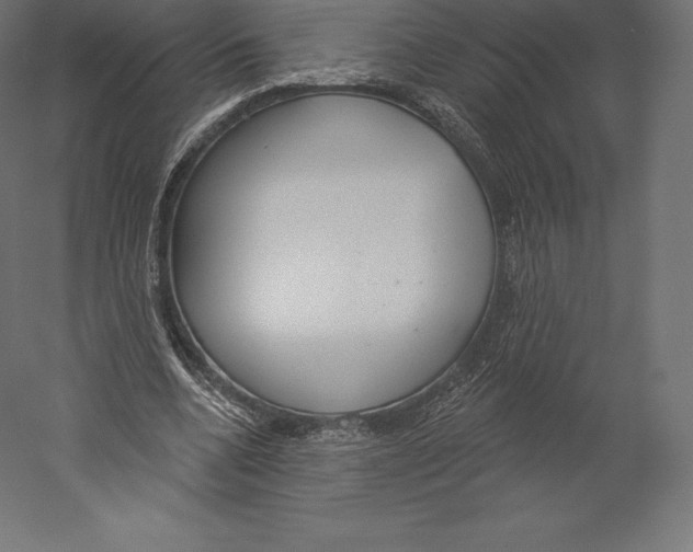 X0000060240536200511241336