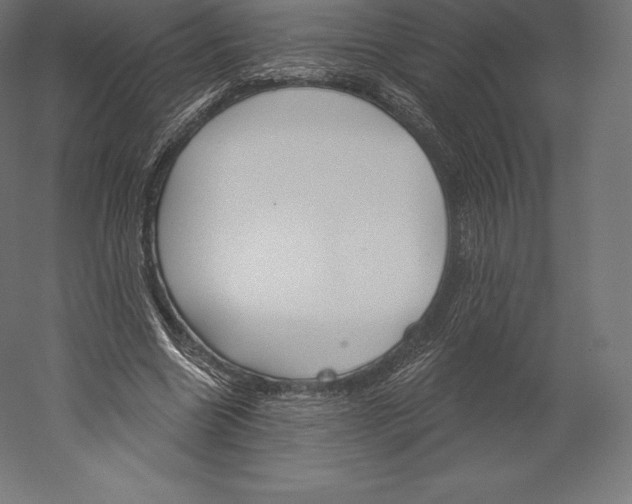 X0000060240538200511241336