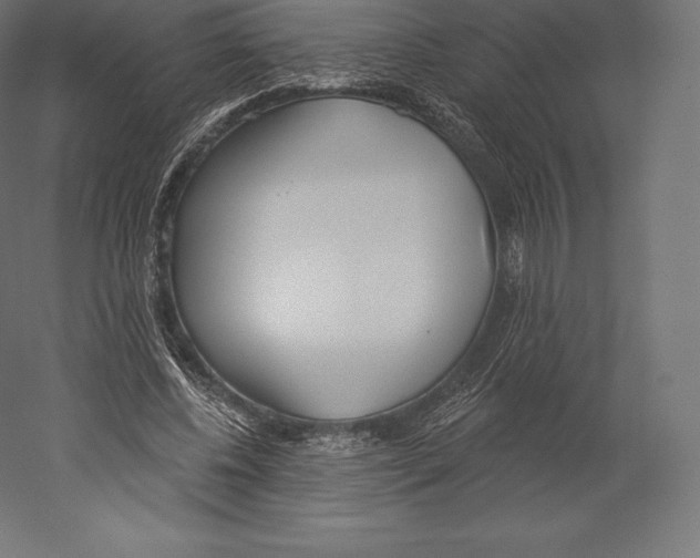 X0000060240540200511241336