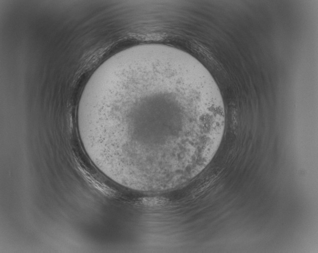 X0000060240541200511241336