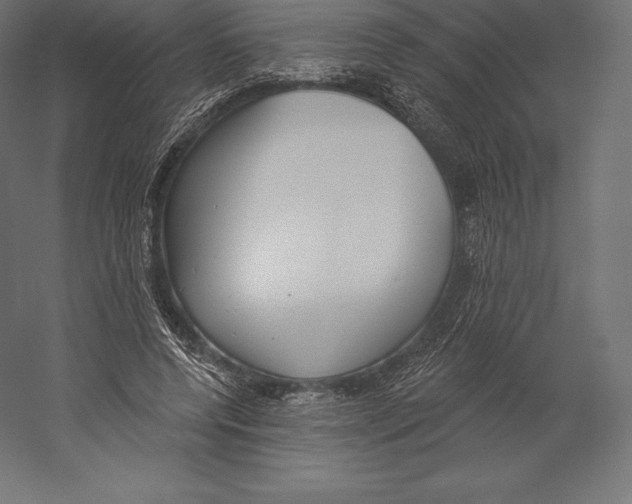X0000060240544200511241336