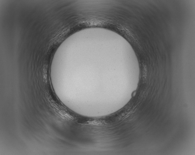 X0000060240545200511241336
