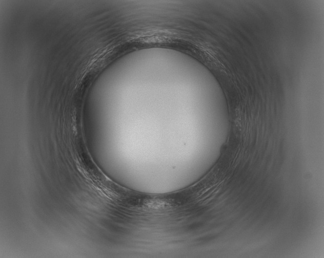 X0000060240547200511241336