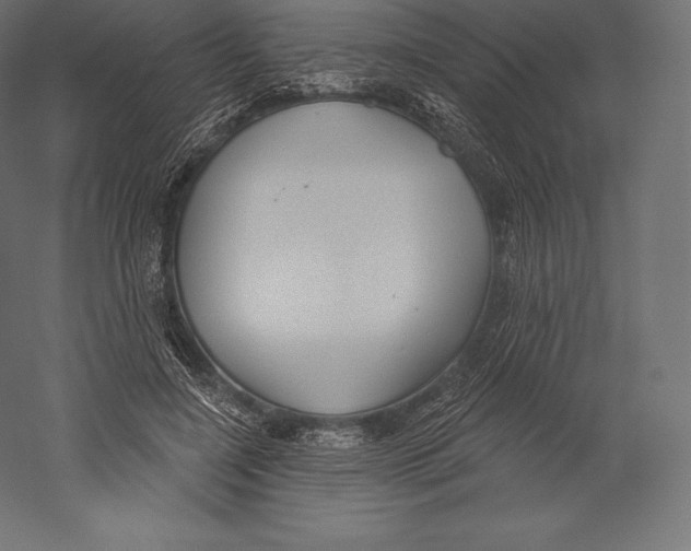 X0000060240548200511241336