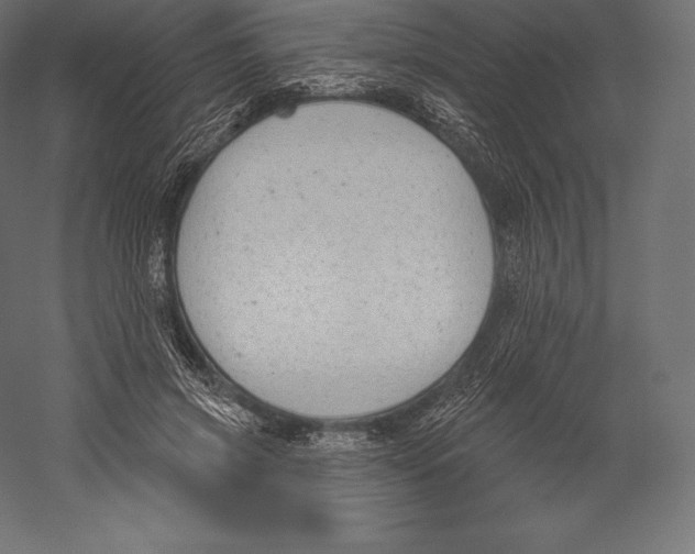 X0000060240549200511241336