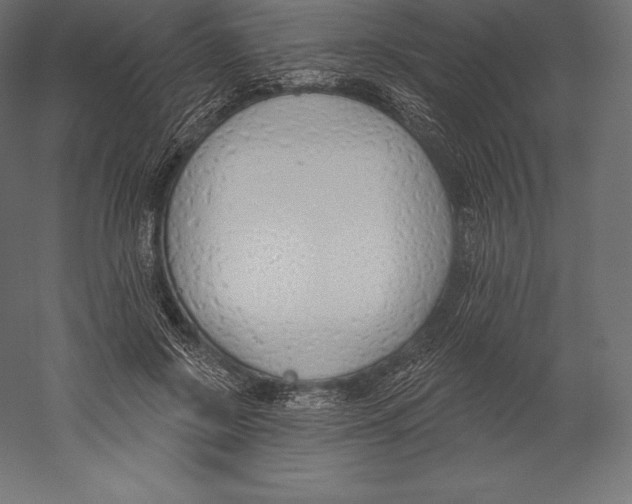 X0000060240550200511241336