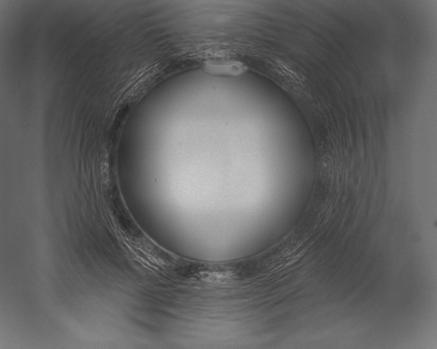 X0000060240552200511241336