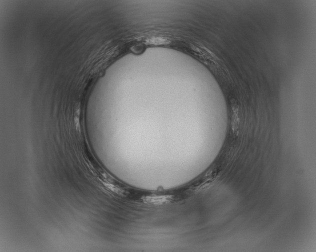 X0000060240553200511241336