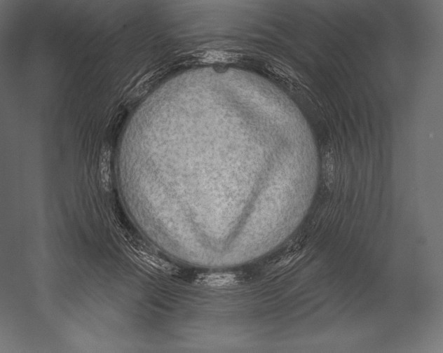 X0000060240554200511241336