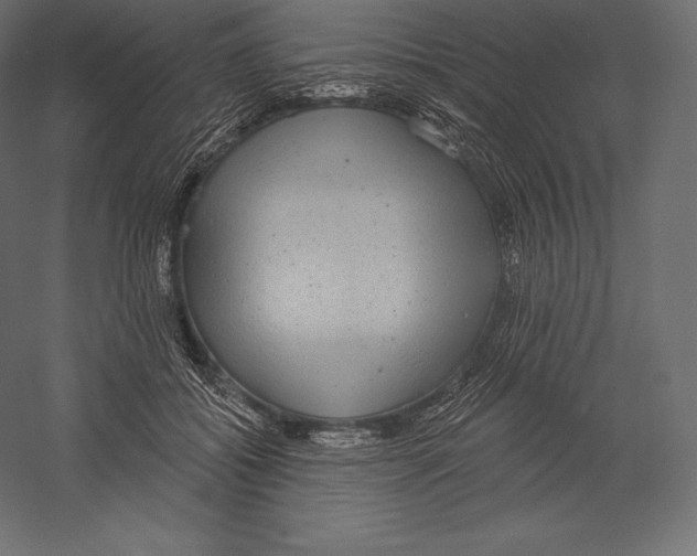X0000060240556200511241336