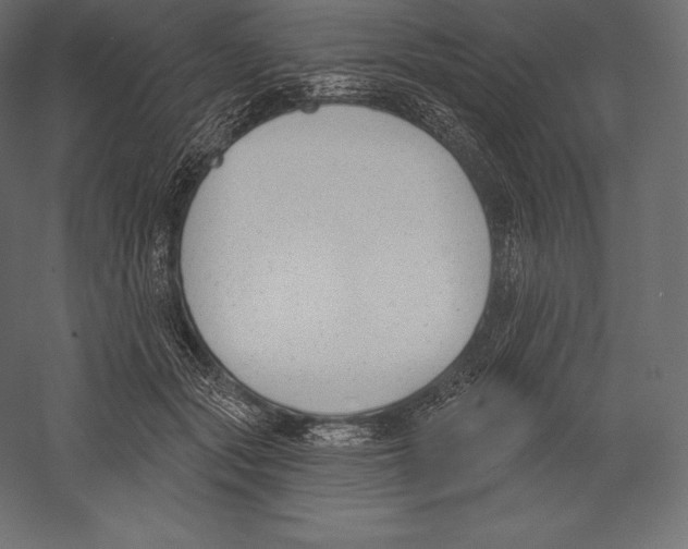 X0000060240557200511241336