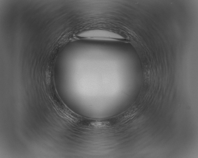X0000060240558200511241336