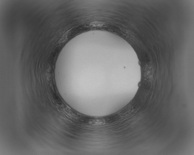 X0000060240559200511241336