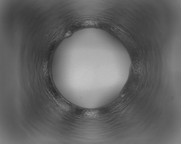 X0000060240560200511241336