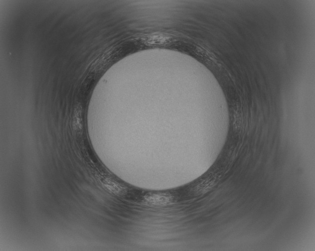 X0000060240561200511241336