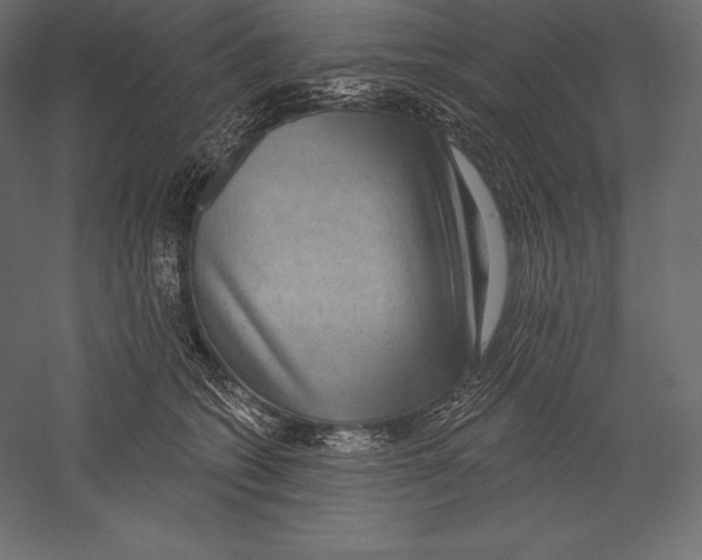 X0000060240562200511241336