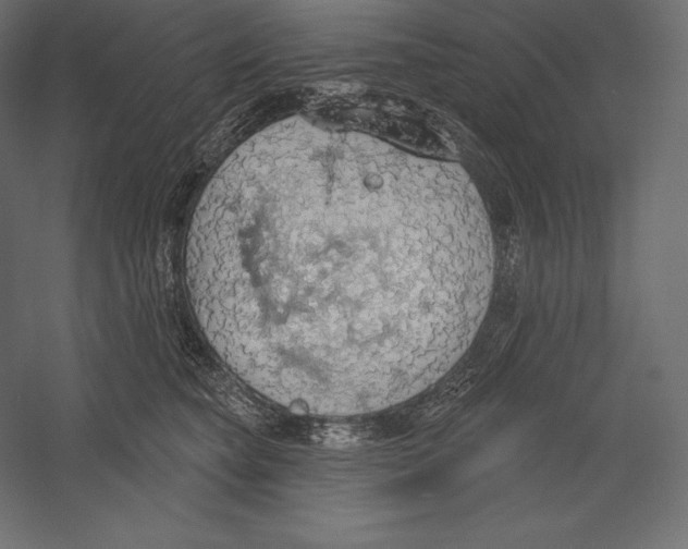 X0000060240565200511241336