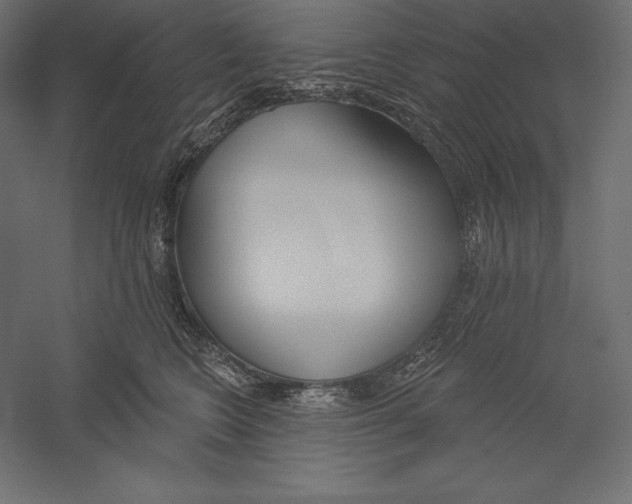 X0000060240566200511241336