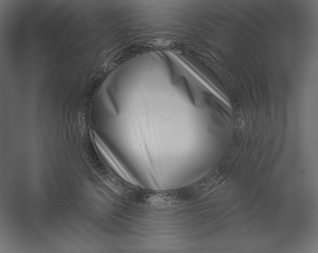 X0000060240568200511241336