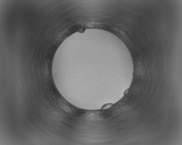 X0000060240569200511241337