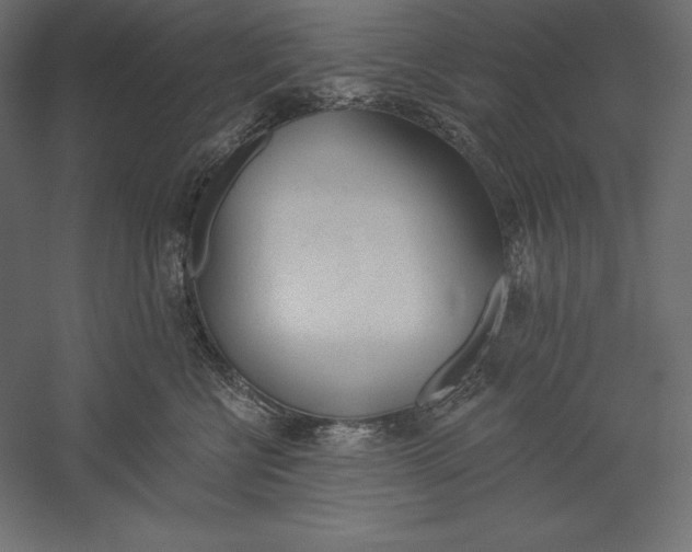 X0000060240570200511241337