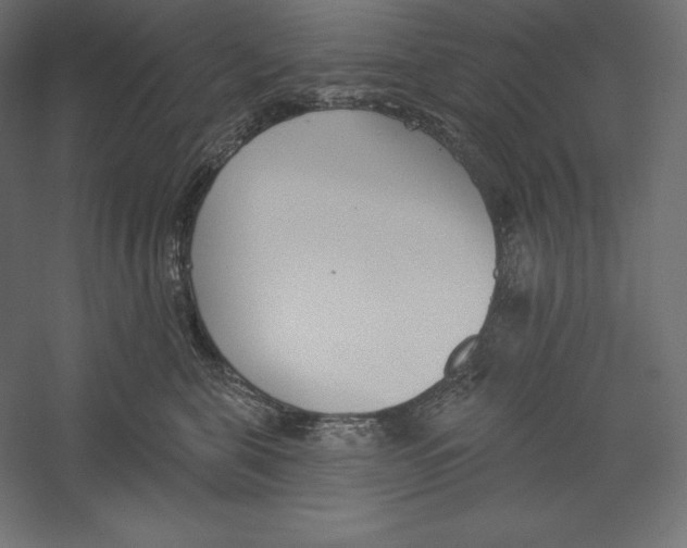 X0000060240571200511241337