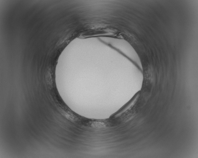X0000060240572200511241337