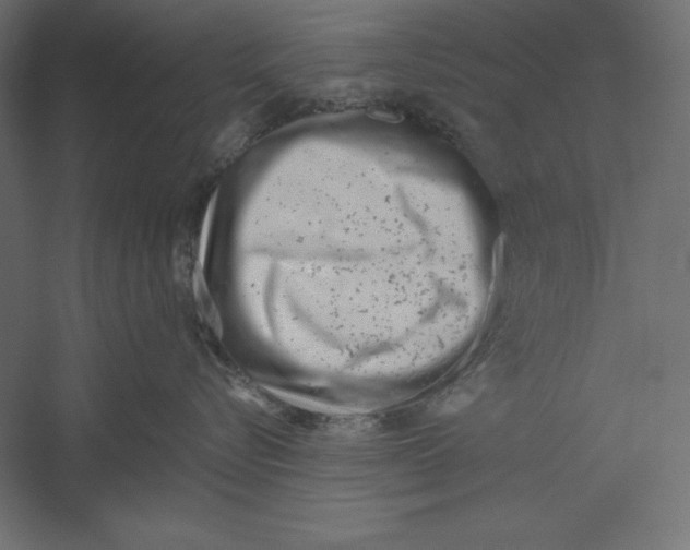 X0000060240576200511241337