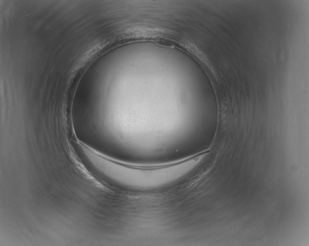 X0000060240581200511241336