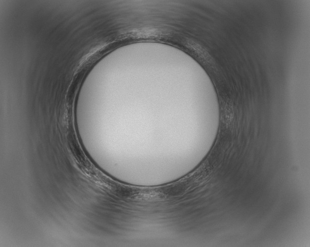 X0000060240583200511241336