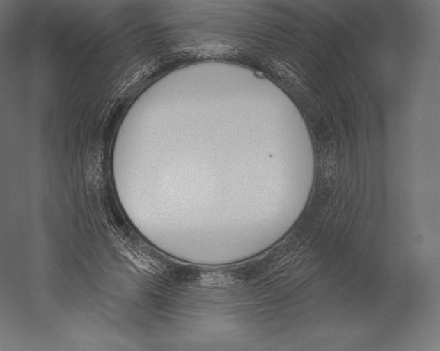 X0000060240591200511241336