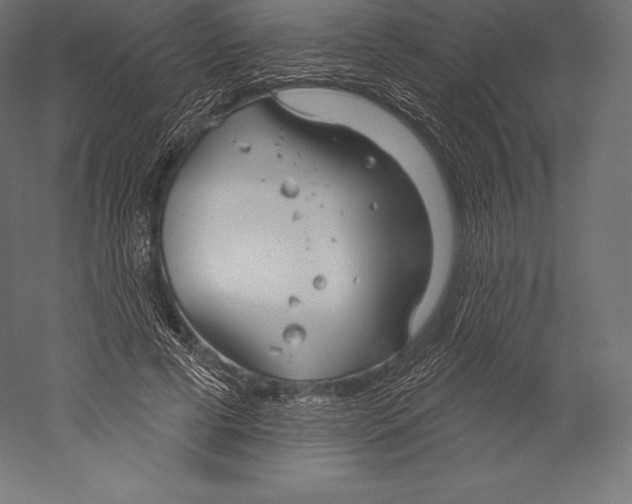 X0000060240593200511241336