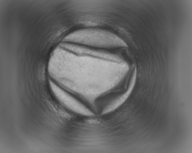 X0000060240596200511241335