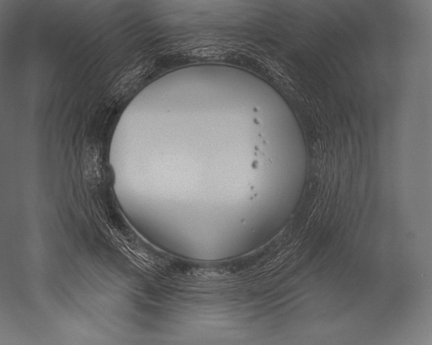 X0000060240597200511241335
