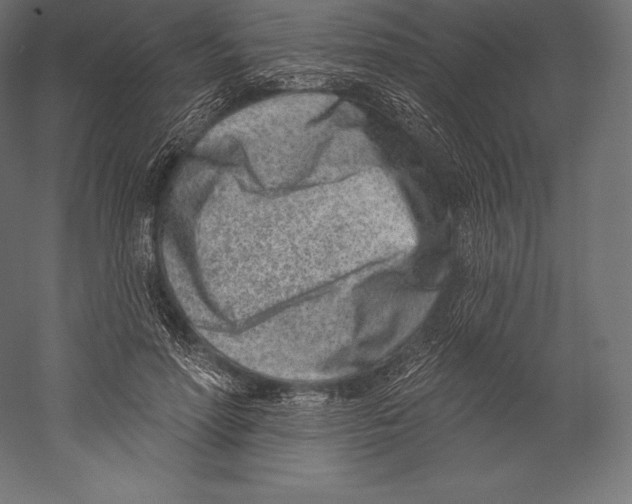 X0000060240598200511241335
