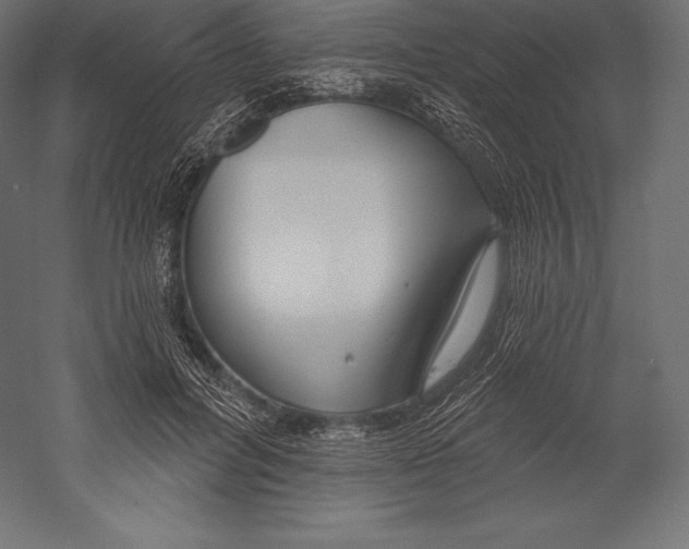 X0000060240600200511241335
