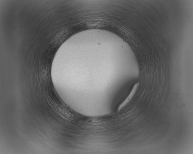 X0000060240601200511241335