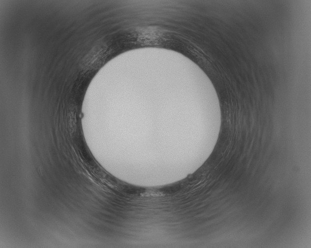 X0000060240603200511241335