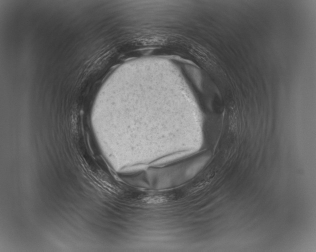 X0000060240604200511241335