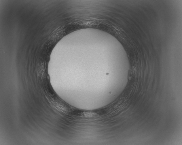X0000060240605200511241335