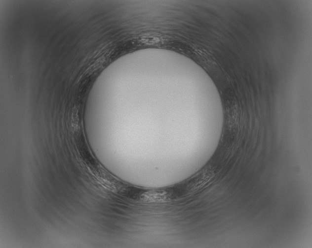X0000060240606200511241335