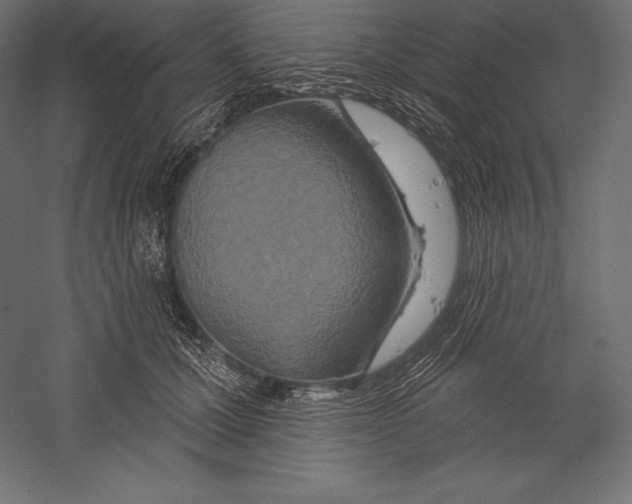 X0000060240607200511241335