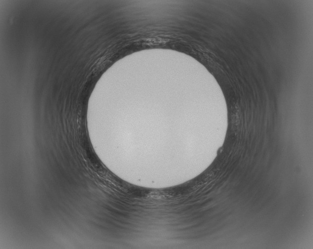 X0000060240608200511241335